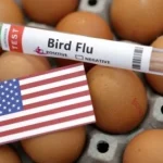 4.8 Million Vaccines: ‘Potential Pandemic’, as US claims steep rise in bird flu cases