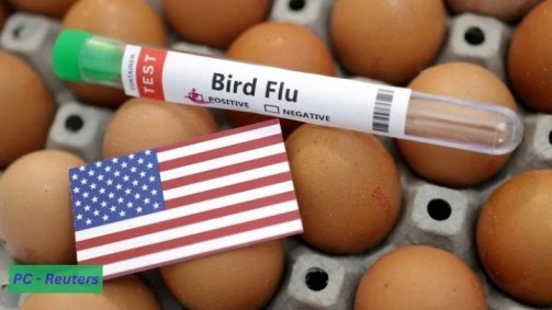4.8 Million Vaccines: ‘Potential Pandemic’, as US claims steep rise in bird flu cases