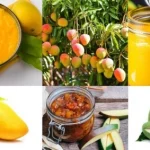 India’s Aamras tops Global List of Best Rated Mango Dishes